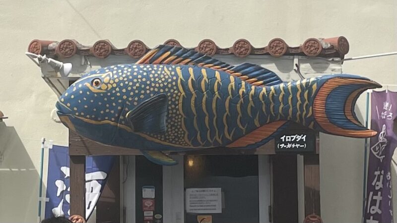 沖縄の魚