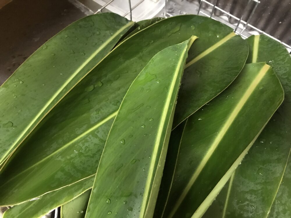 洗って水切りした月桃（サンニン）の葉 フチャギを作る下ごしらえ