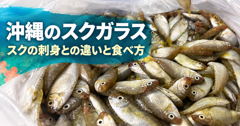 沖縄のスクガラスアイキャッチ画像
